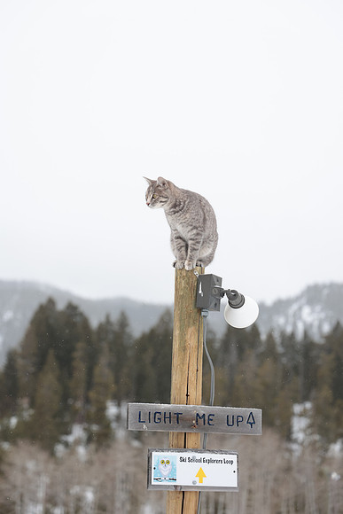 18 Homestake (27)
