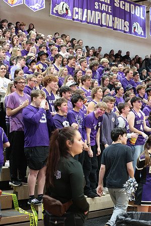 Bulldogs 3 5 26 (2)