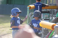 8 Northwest Little League (8)