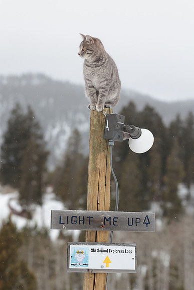18 Homestake (49)
